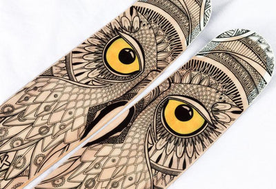 Pell Owl Graphic
